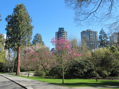 stanley park3