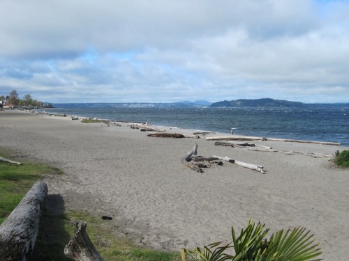west seattle beach
