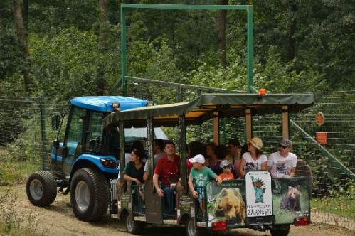 libearty-bear-sanctuary